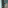 Cereales Gif Min