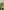 Markus Spiske R0phtur1ofs Unsplash