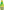 Bouteille Tourtel Bio Citrons
