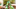 Twist Desktop 1280X424px