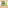 500X500 Botanics Citron Vert Fleur De Sureau (1)