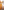 Curacao Orange